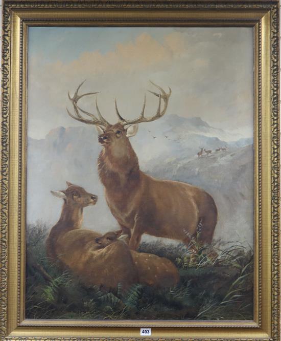 A 19th century, oil on board, Highland Stag, monogram, J W M